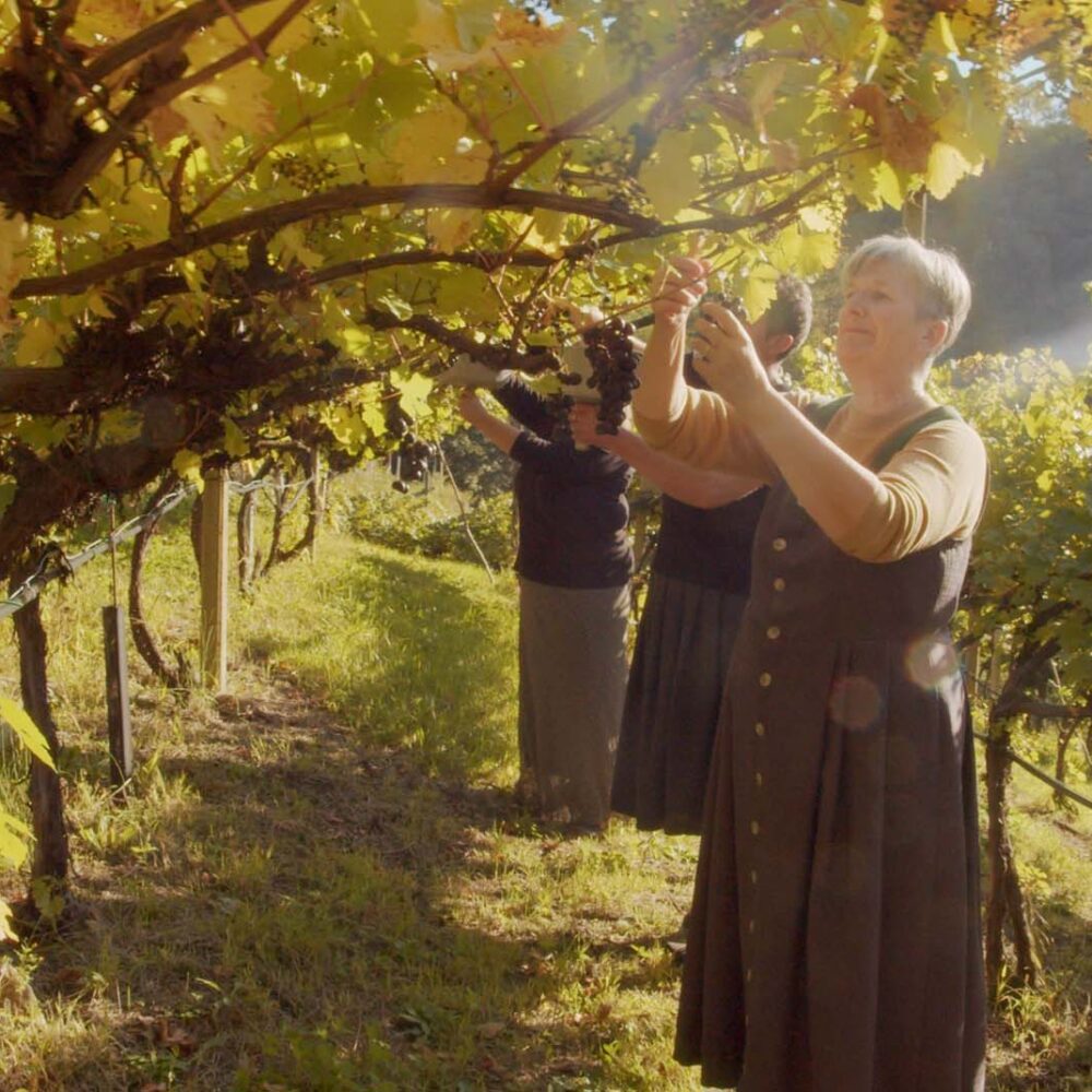 Autunno 2250