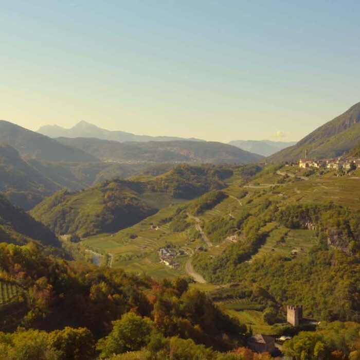 Senza titolo-1