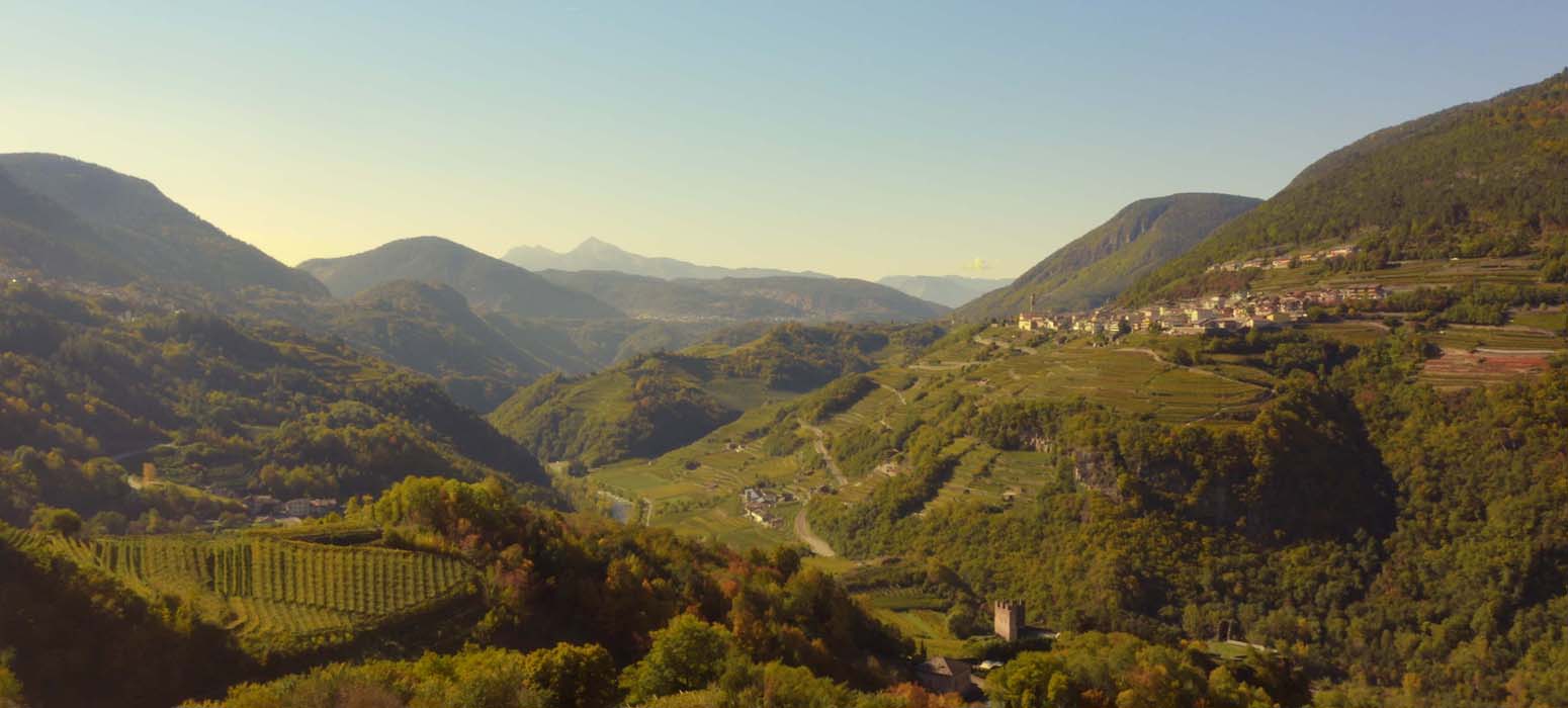 Senza titolo-1