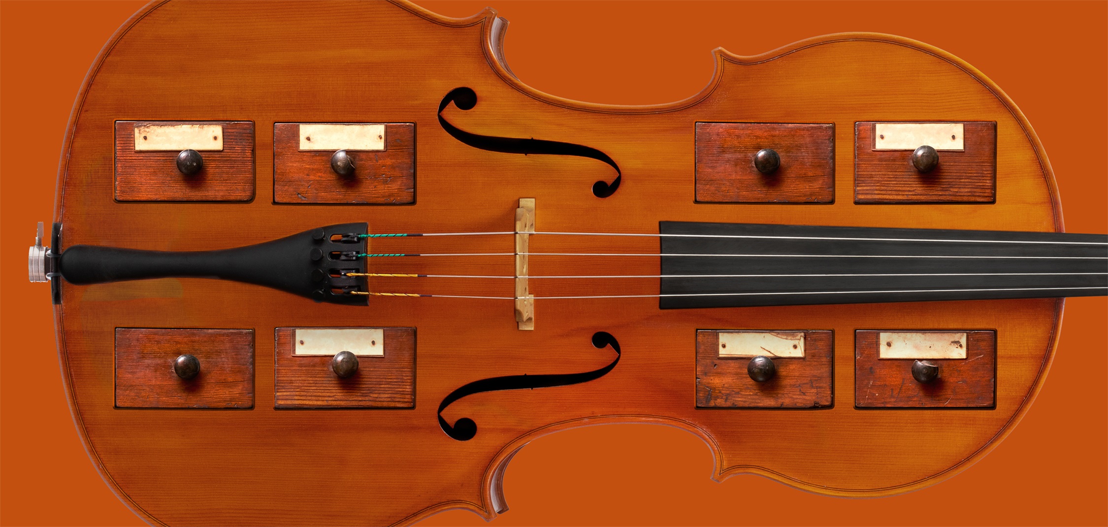 Digital Library Violino 2250x1070 (2)