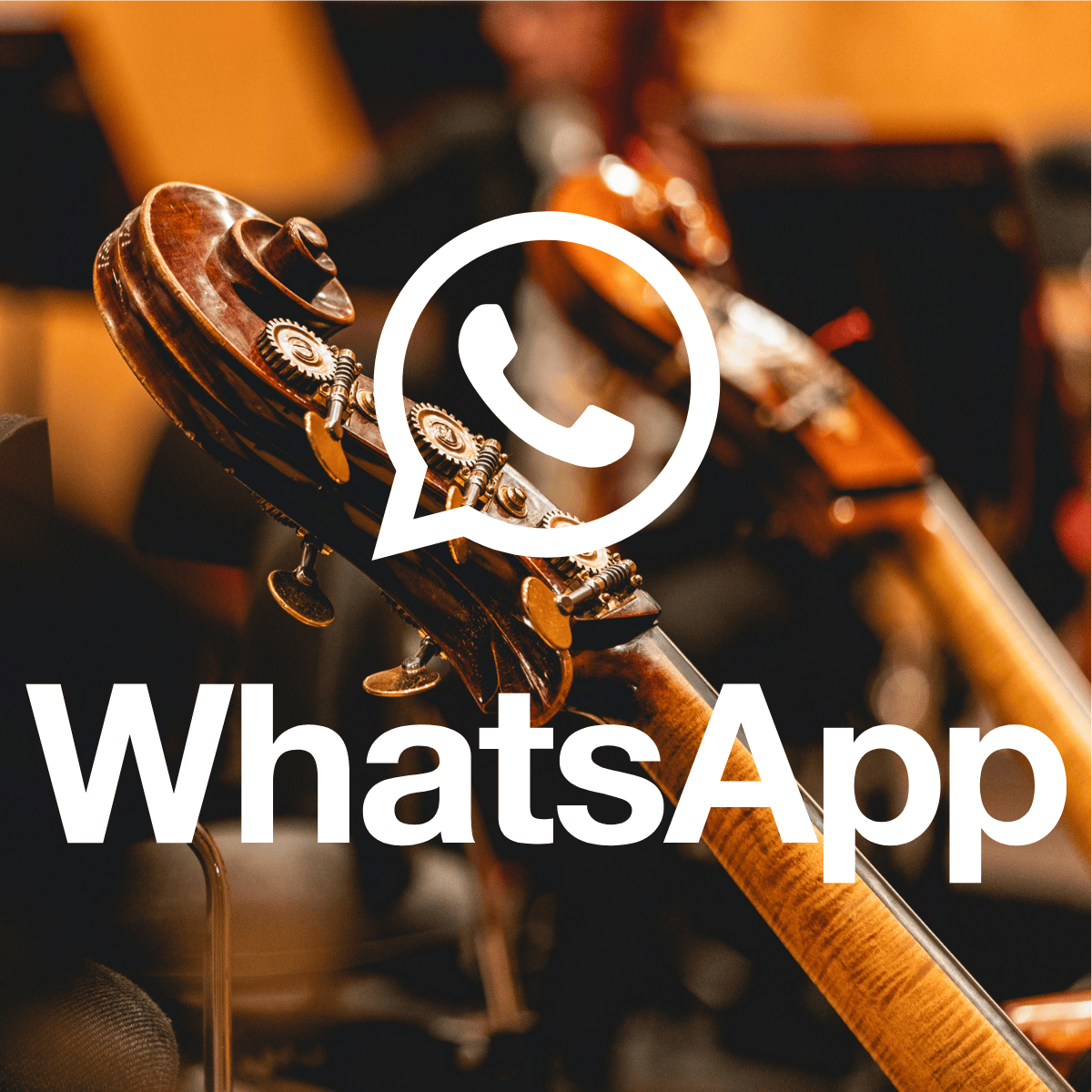 Haydn web square (3)