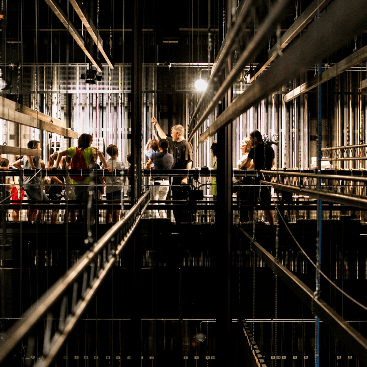 Haydn web square (4)