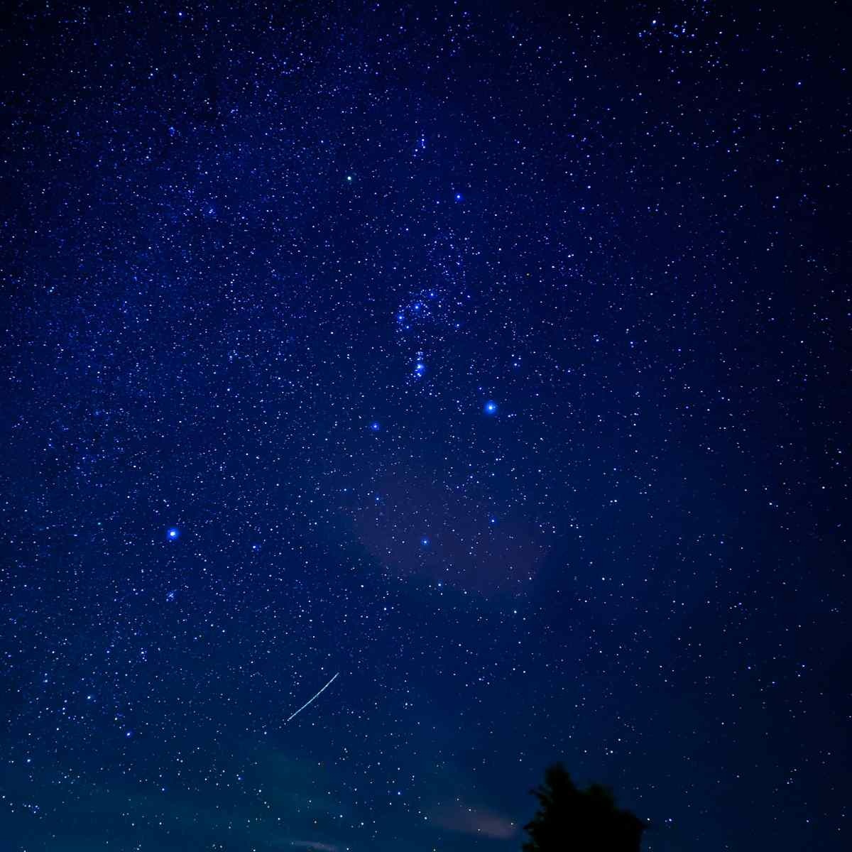 Nuovo progetto (18) copia