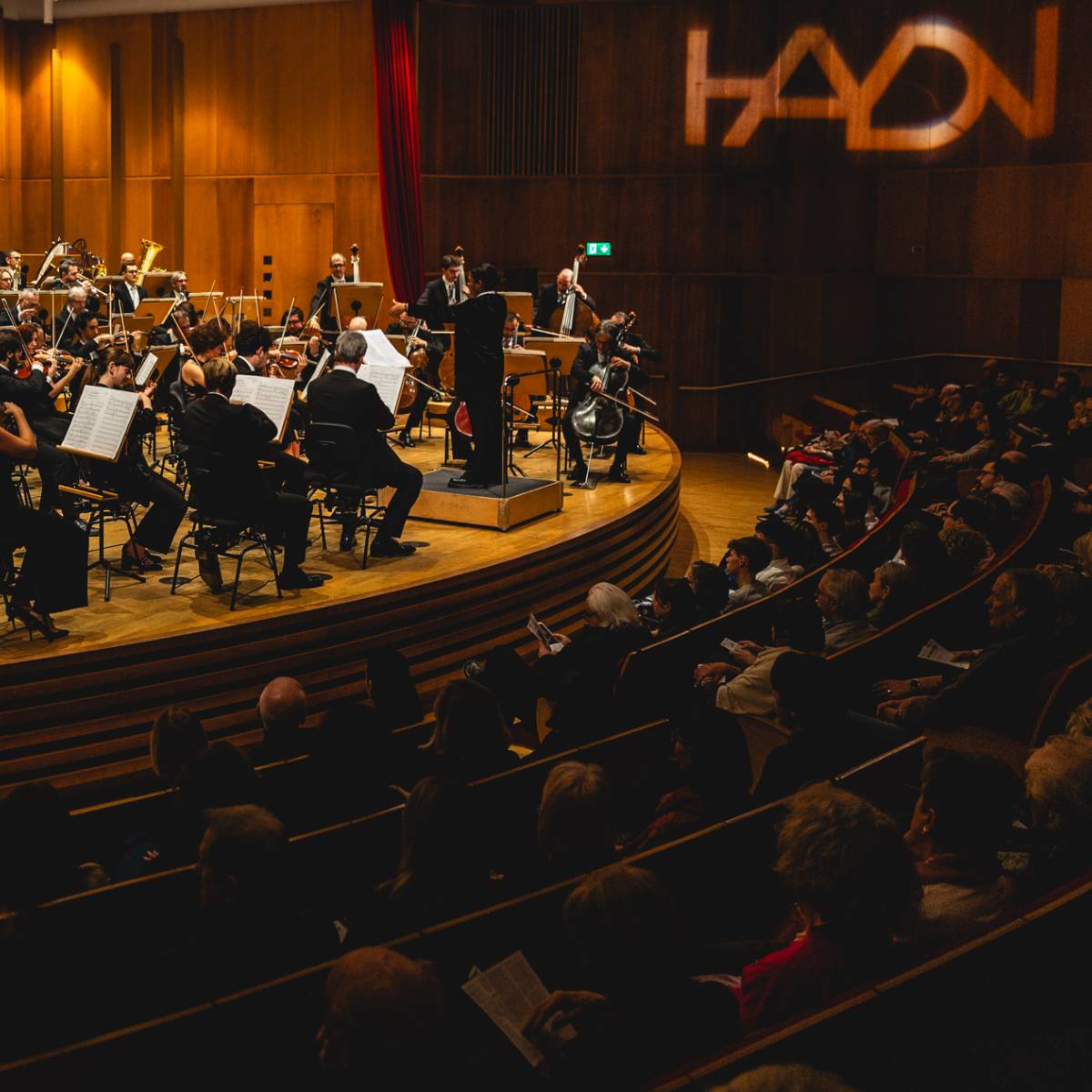 Orchestra Haydn
