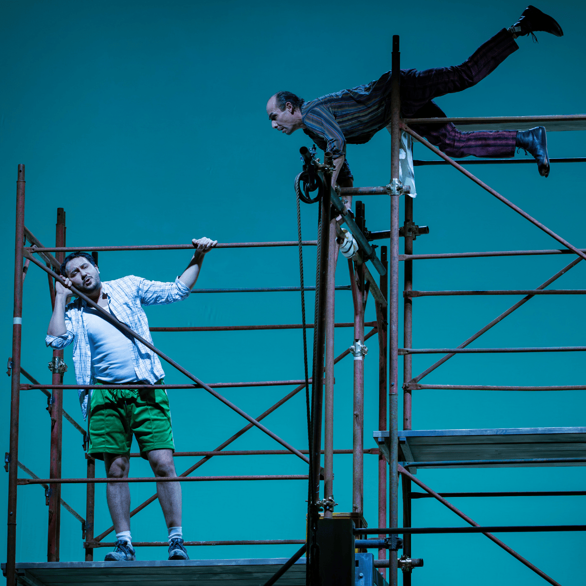 Haydn web gallery mobile (4)