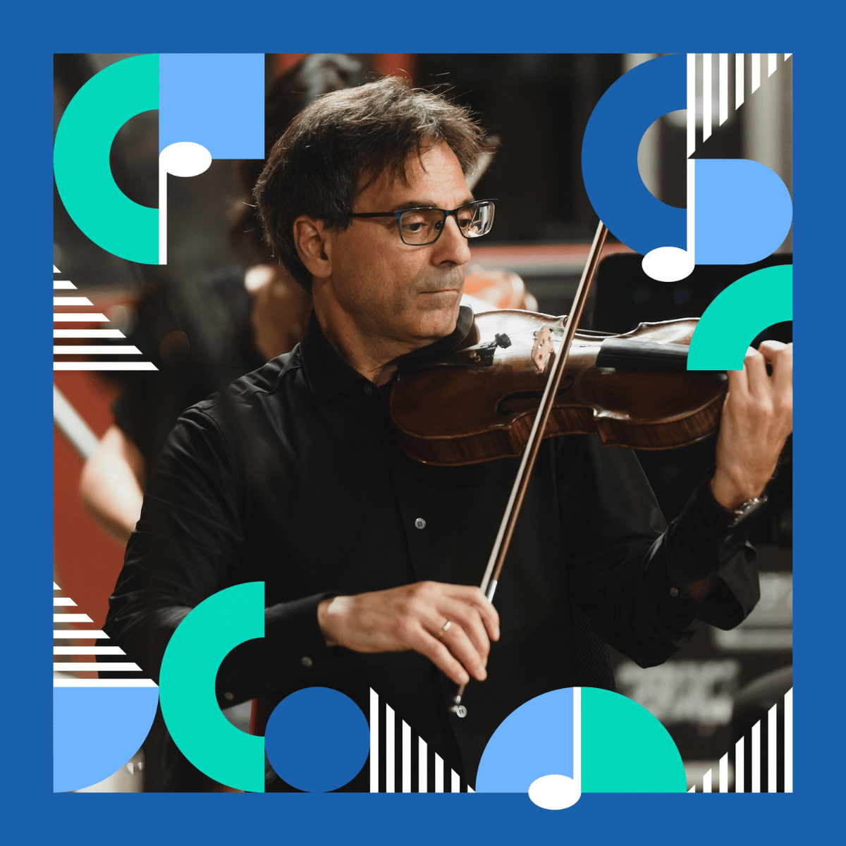 Haydn web square