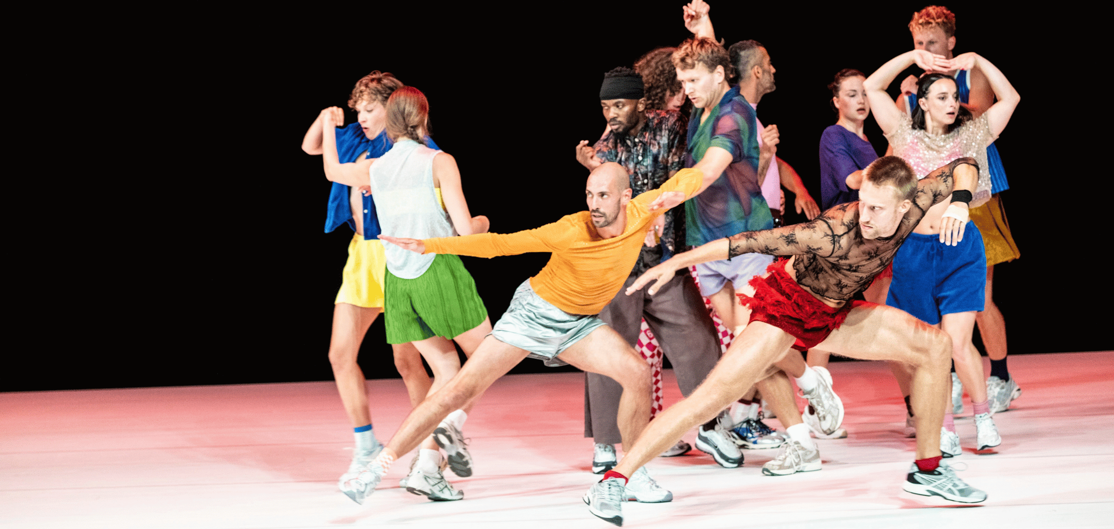 Haydn web header (1)
