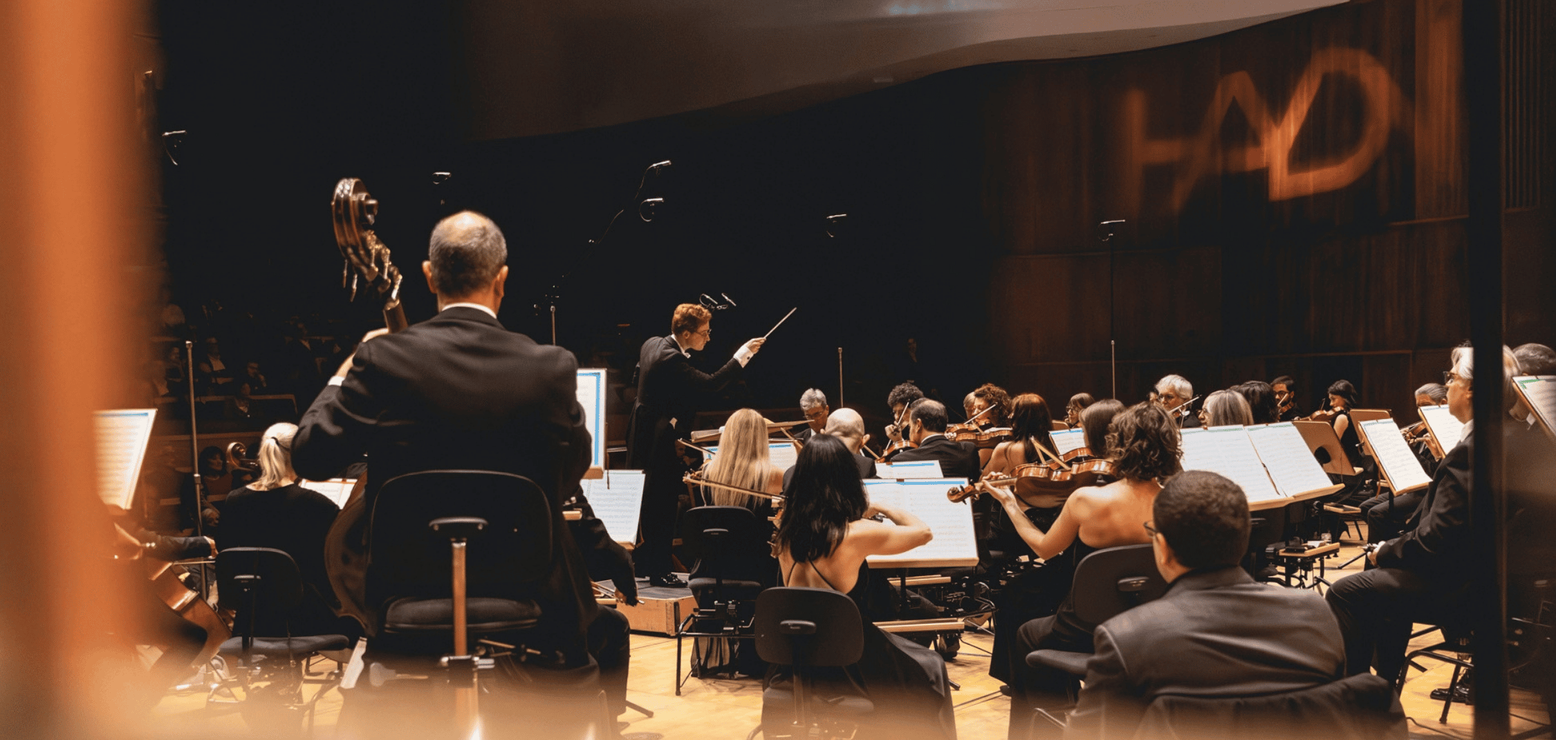 Haydn web header (2)